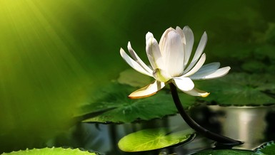 Ở đời mấy ai mà không vấp ngã, quan trọng là biết gượng dậy và đứng lên